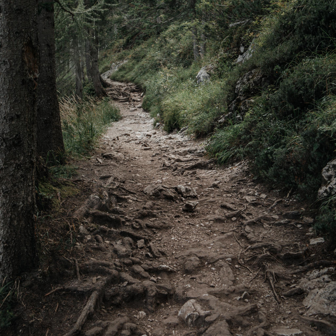 trail course